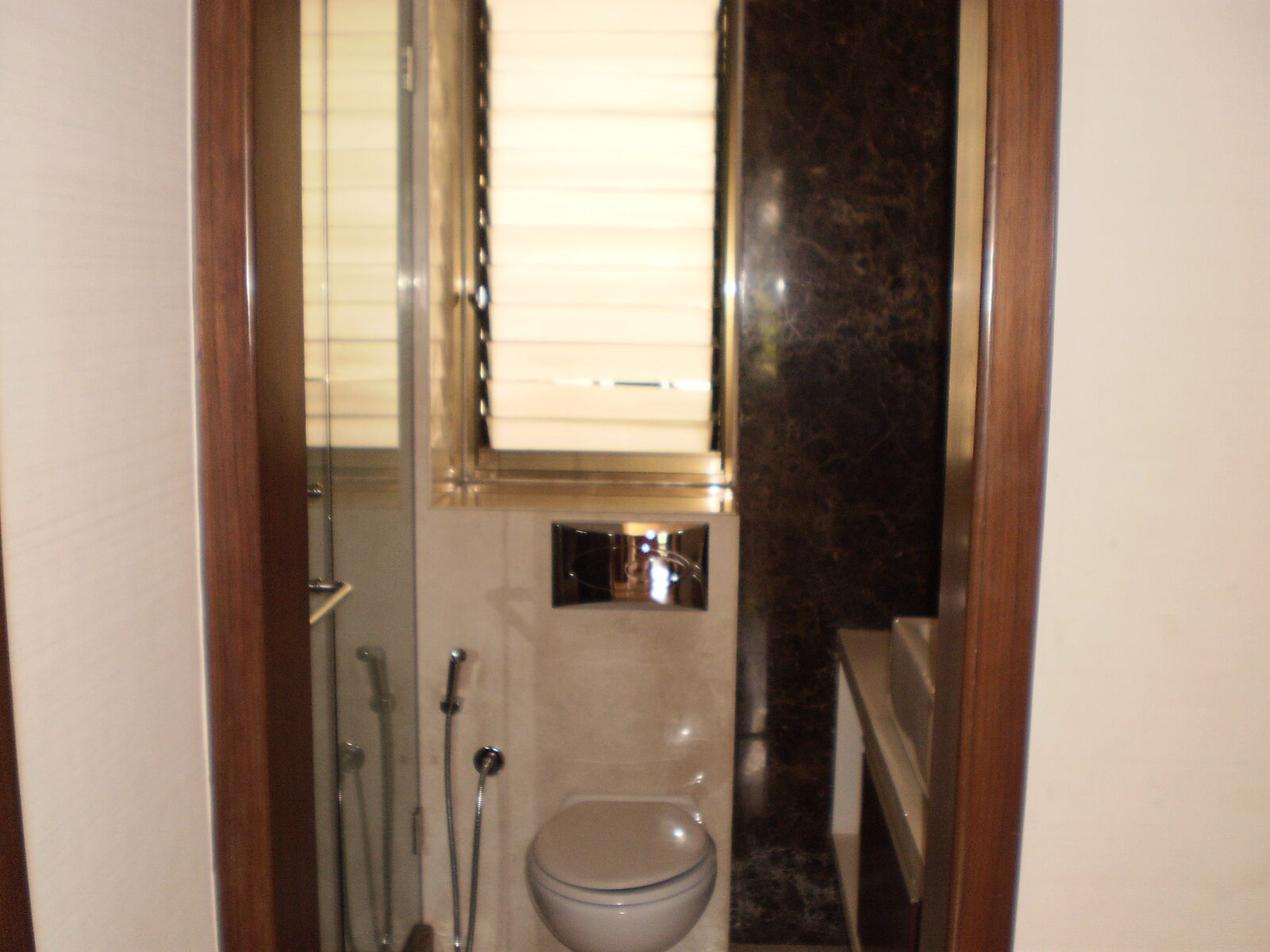 Full Home Project - Shrushti II